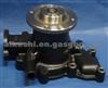 Water Pump 21010-Z5525