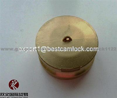 High Quality Brass Camlock Coupling Type DP