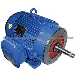 WEG Motor W21 Series