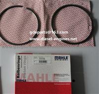 VOLVO Piston Ring 876074