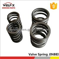 Valve Spring DK4A-1007013_01 _