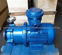 CQF Magnetic Drive Pump