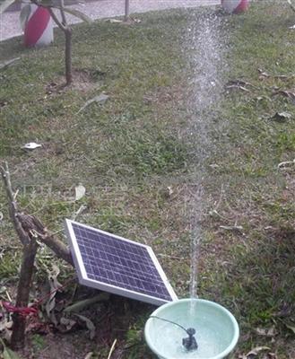 Fountain Square Garden Solar Water Pump