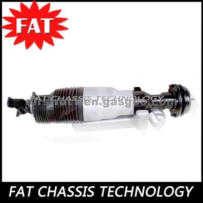 Air Suspension Strut Shock Absorber For Mercedes Maybathe W240 Front Left A2403201913 2403201913 15.1400-0459.4 071206030706