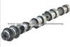 Auto Camshaft For Peugeot XUD7 XUD9 (0801. E8)