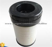 P785589 Air Filter