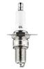 Spark Plug (F6RTC BPR6ES W16EXR RN11YC WR6DC)