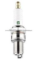 OEM Spark Plug For All Kinds Engine Accessories F6tc