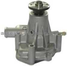 Water Pump 12910042001