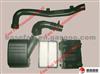 AIR CLEANER ASSY 1109100-P00