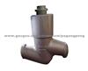 Check Valve Apply For Power Station