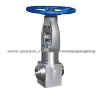 Forged Steel Globe Valve SDFJ61Y-P61-F91 Of Power Plant Valve