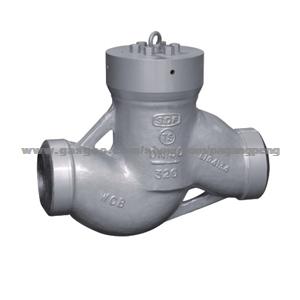 Power Plant Check Valve