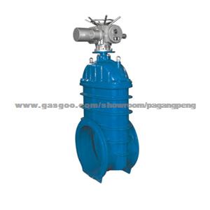 Resilient Seated Gate Valve Of Power Station Valve