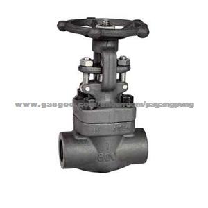 Small Diameter Forged Steel Power Plant Gate Valve