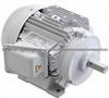 Teco-Westinghouse Motor N0204