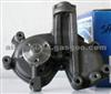Water Pump 7608844