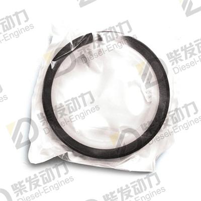 CRANKSHAFT SEAL 85108423