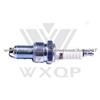 SPARK PLUG OEM:30604023