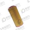 AIR FILTER 3840036