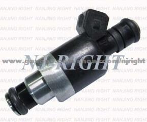 Delphi Fuel Injector (17089569)