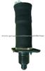 Rear Air Suspension For Audi Allroad A6 C5