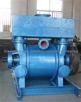 Vacuum Pump