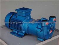 2BV Series Water Ring Vacuum Pump