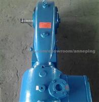 WY Reciprocating Vacuum Pump