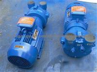 2BV Series Water Ring Vacuum Pump