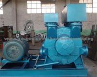 2BEC Water Ring Vacuum Pump