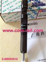 Original Delphi Injector EJBR05301D