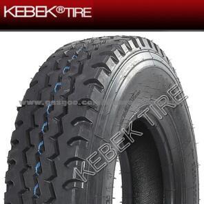 Quality Radial TBR Tyre With Warranty