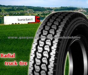 Tubeless Radial Truck Tire 11r22.5 With DOT