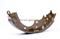 Toyota Hiace Brake Shoe 04495-26240 - img2