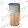 AIR FILTER 21010247