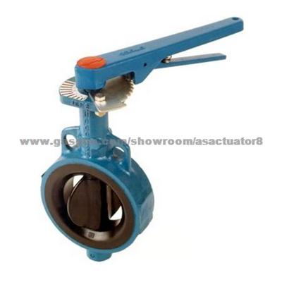 Flowserve Butterfly Valve