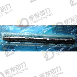 CAMSHAFT 20894565