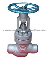 The Power Station Globe Valve