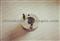 BOSCH Intermediate Disc 2430136166 2 430 136 166 - img1