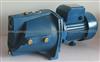 JSW/10M JET PUMP-CHINA GASGOO.COM