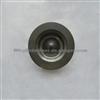 Cummins Piston 6D107