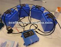 Lithium ion 48V100AH Battery pack for Electric Sightseeing Car