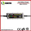 Constant Current Charging Car Charger Electric Car Battery Charger