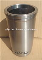 Diesel engine cylinder liner DS09