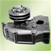 Water Pump 1698617 1545246 For VOLVO Truck