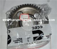 For Chongqing Cummins 3004685 Gear, Idler Kta19