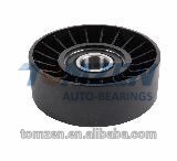 Tensioner and Idler Bearings APV2166/55046/532029310(ISO/TS16949 Approved)