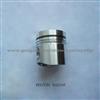Aluminum Piston 6D105