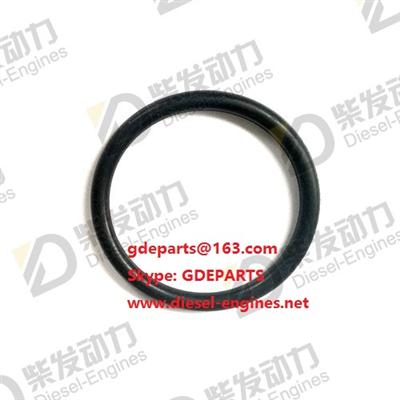 SEALING RING 20412325